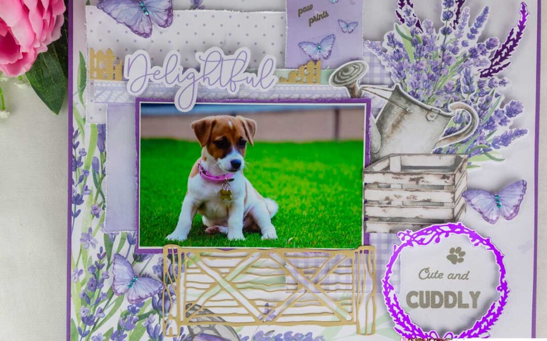 Cute & Cuddly layout with Anet
