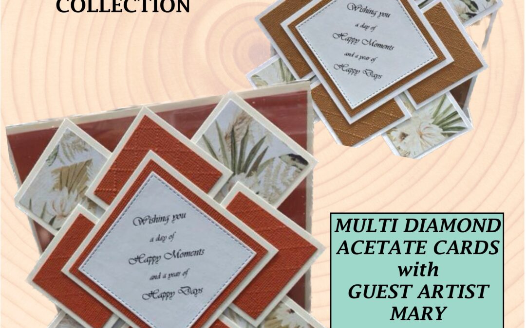 Multi Diamond Acetate Cards with Mary McKell